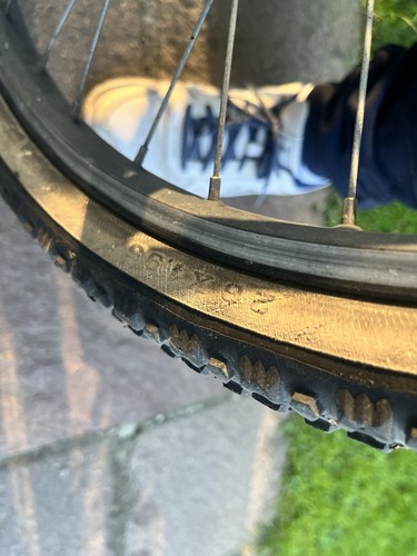 Scott mountenbike sawtooth - scott,